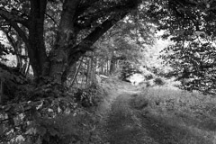 Ulva, Scotland, 2024