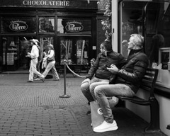 Haarlem, Netherlands, 2025