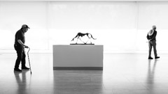 Fondation Maeght, France, 2026